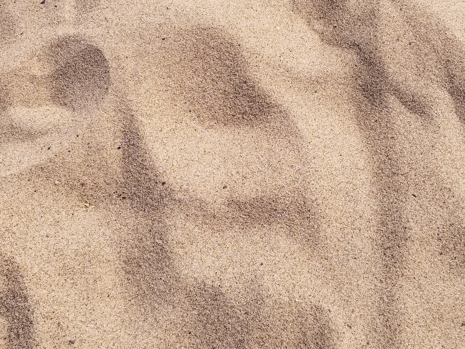 focus photo of brown sand